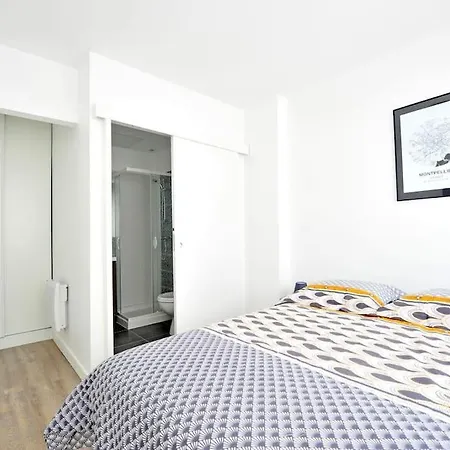 Welcomeagen*suite Montpellier*cosy*hypercentre Apartment Agen